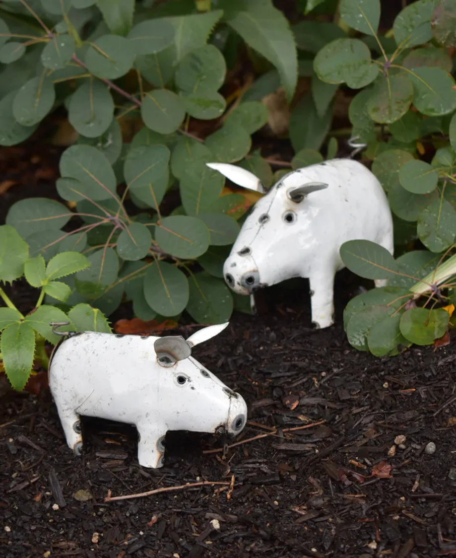 White Piggy of Upcycled Metal